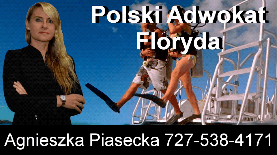 Polski, Adwokat, Prawnik, Clearwater, Floryda, Agnieszka, Aga, Piasecka