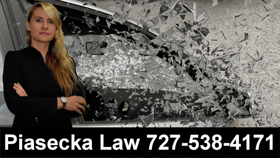 Polish Accident Attorney Clearwater Florida Agnieszka Aga Piasecka